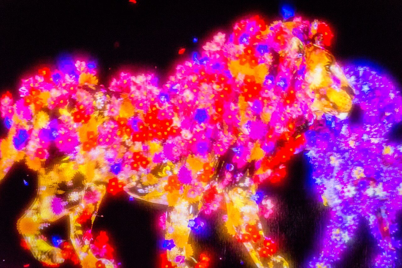 Sala inmersiva de teamLab Borderless en Odaiba, Tokio